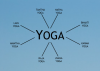 Veliki sistemi joge