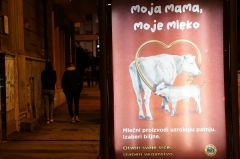 Posters calling for humane treatment of animals