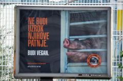Close the Slaughterhouses, Open the Heart