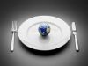 Vegetarianism and the survival of the planet