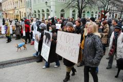 Protest over the poisoning of stray dogs