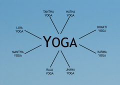 Veliki sistemi joge