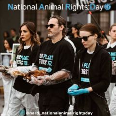 INVITATION: The National Animal Rights Day